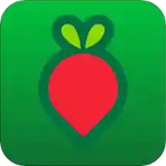 叮咚买菜app：一款给用户带来绿色新鲜食品购买的软件
