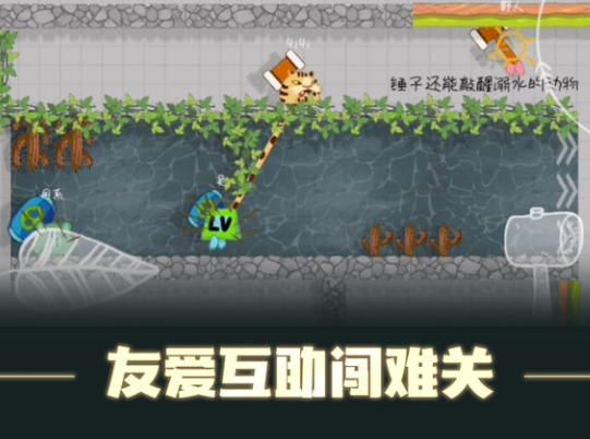 森林大会：给你带来不同体验的一款新奇的益智手游