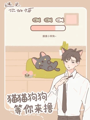 遇见你的猫无限爱心和小鱼干最新版