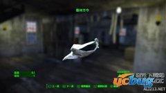 《辐射4》稀有头巾位置在哪及怎么获得?