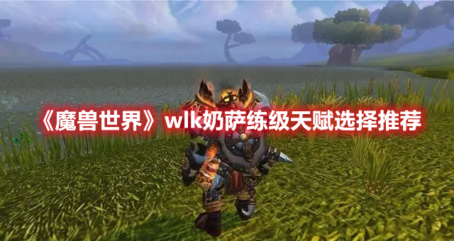 魔兽世界wlk奶萨练级天赋怎么选-魔兽世界wlk奶萨练级天赋选择推荐