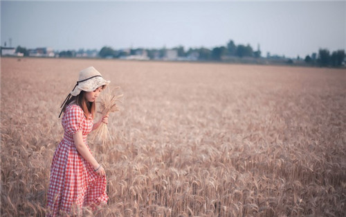 无人区码卡二卡3卡4卡变态汇聚全网高清资源,网友:全部免费提供!