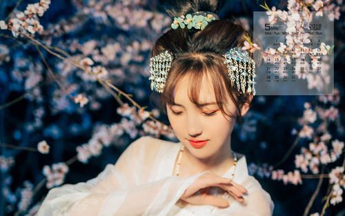 左手视频app下载官方最新版:资源内容的视频播放器