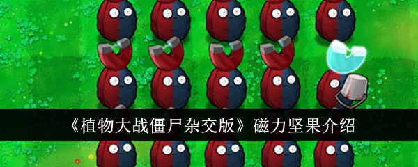 植物大战僵尸杂交版磁力坚果怎么样 磁力坚果介绍