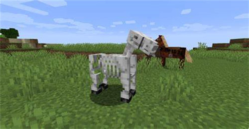 我的世界骷髅马怎么驯服-我的世界骷髅马驯服攻略