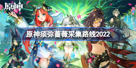 原神须弥蔷薇采集路线有哪些2022原神蔷薇快速获得的路线