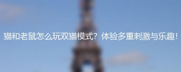 猫和老鼠怎么玩双猫模式 体验多重刺激与乐趣
