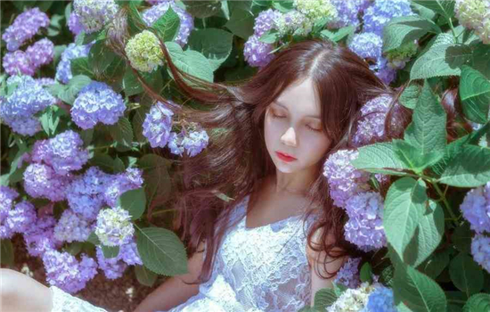 草莓丝瓜秋葵向日葵绿巨人葫芦娃最新版:不需要大家花钱就能在这免费看全网