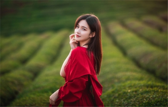 草莓香蕉榴莲丝瓜秋葵绿巨人2023:可以在这获得最佳的观影