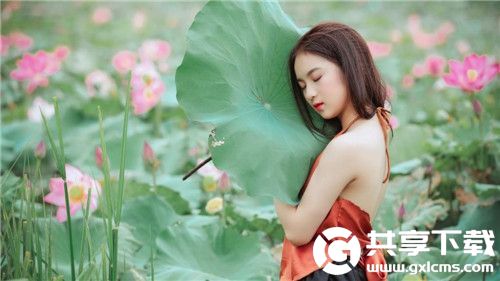 红豆视频在线观看免费播放高清汇聚更多高清资源，网友：看视频没有任何模糊