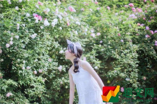 麻花豆传媒剧国产mv在线观看个性化福利影视自由看！大量VIP电影不断更新！