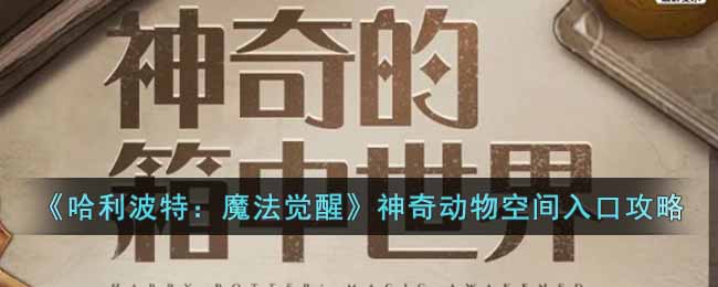 哈利波特魔法觉醒神奇动物空间怎么进入-神奇动物空间入口攻略