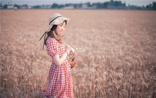 香蕉视频无限次解锁版:香蕉视频解锁版无限次分享下载