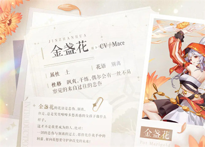 圣境之塔金盏花装备怎么搭配 圣境之塔金盏花装备搭配攻略一览