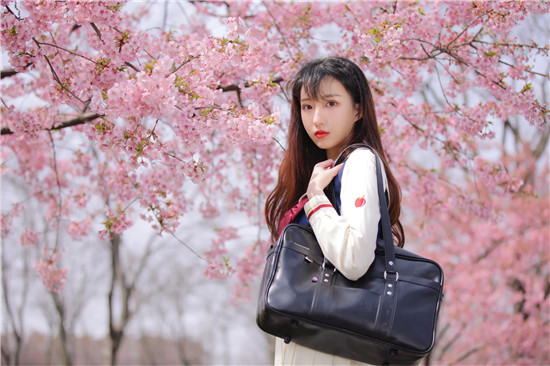 原神水仙十字之剑强化突破材料是什么 原神水仙十字之剑强化突破材料攻略