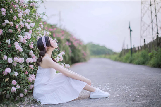 榴莲茄子草莓丝瓜解锁版疯传平台停止更新！网友：暂停服务属实！