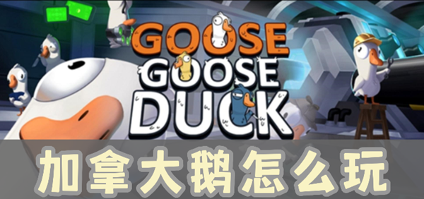 鹅鸭杀加拿大鹅有什么用-鹅鸭杀加拿大鹅攻略职业介绍