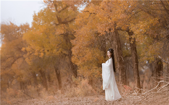 性宝福芭乐向日葵鸭脖小猪最新版大量资源不断更新,网友:一直都能免费看剧!