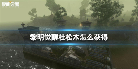 黎明觉醒杜松木怎么获得杜松木获得方法