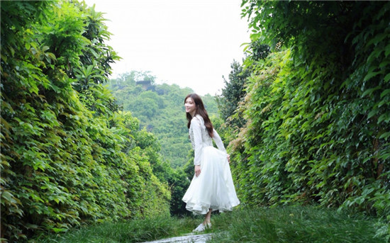 丝瓜荔枝芭乐榴莲向日葵秋葵：适应任何设备播放视频的软件