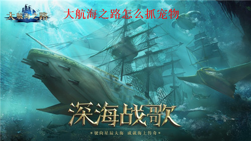 大航海之路怎么抓宠物 大航海之路捕捉宠物方法