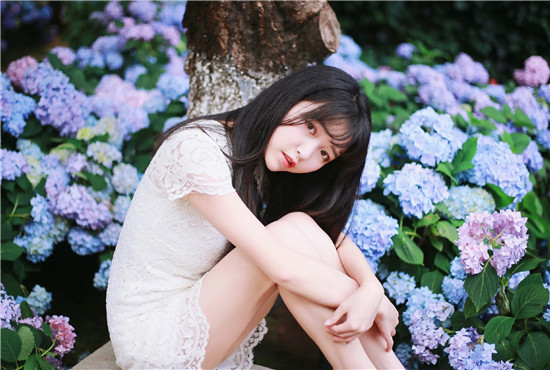 天堂岛www最新版资源下载：免费影视自由使用观看