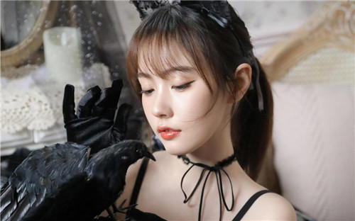 9277在线观看免费高清完整版app：将新鲜精彩的片源巨作都传递给我们