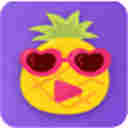 大菠萝福建导航app优化-一款内容丰富资源精彩的手机视频播放应用