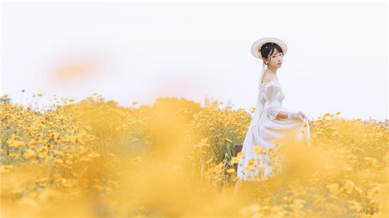 丝瓜香蕉芭乐鸭脖小猪二维码最新版：超多热播剧集更新推送