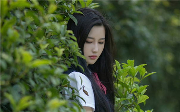 丝瓜草莓秋葵污下载旧版APP大全当下所有资源齐聚收录免费搜索观看