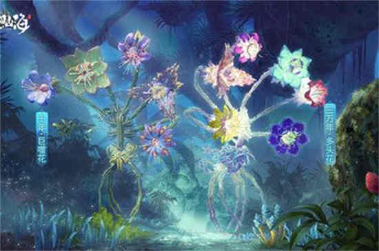 妄想山海巨噬花强度怎么样 新异兽巨噬花技能介绍