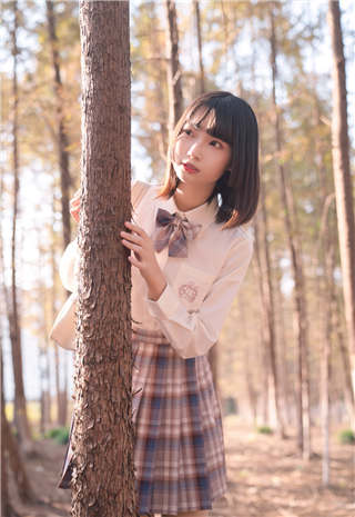 中国高清windows视频:聚集提供且分类足够全面