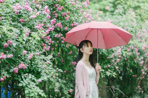 南瓜影视app免费版:性感美女小姐姐在线热舞