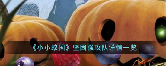 小小蚁国坚固强攻队怎么样 小小蚁国坚固强攻队详情一览