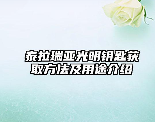 泰拉瑞亚怎么获取光明钥匙 泰拉瑞亚光明钥匙合成材料