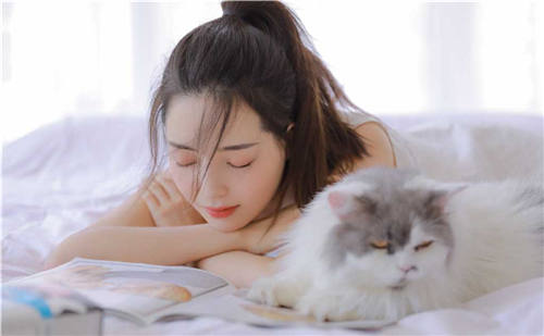 蝴蝶视频app破解版无限次数观看：一款高清影片免费在线观看的视频app