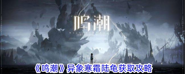 鸣潮异象寒霜陆龟怎么获取 异象寒霜陆龟获取攻略
