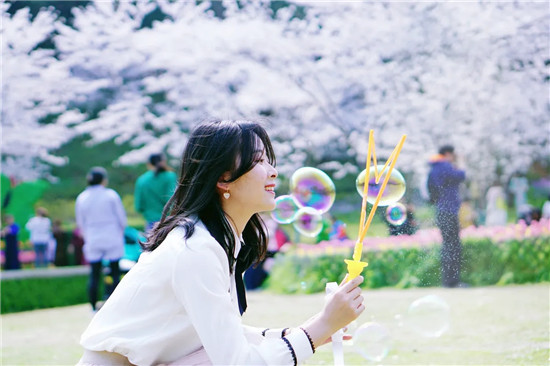 崩坏星穹铁道黄金与机械难题12欢愉如何通关 崩坏：星穹铁道黄金与机械难题12欢愉攻略一览