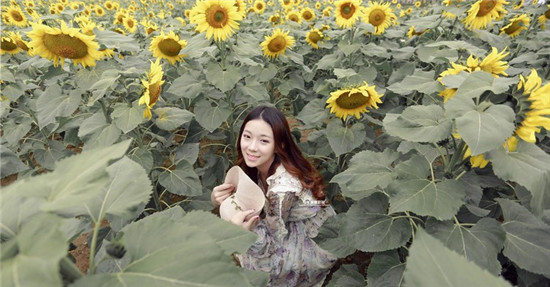 а√天堂网www在线搜索下载免费版：拥有最为简单的设计风格的视频播放器