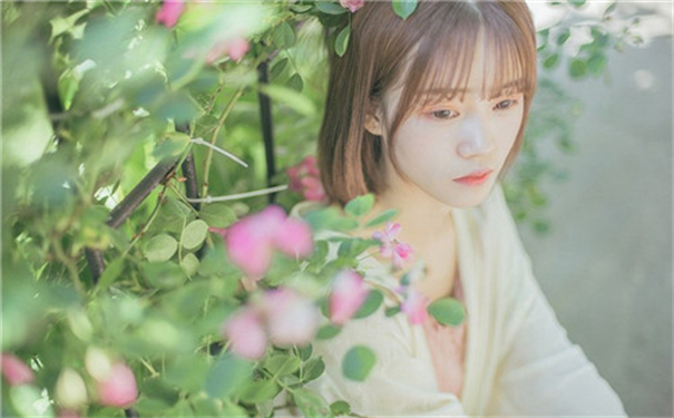 BTа√天堂资源在线官网最新版：2023迅雷下载种子资源地址