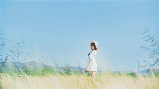 菠萝菠萝蜜视频在线3下载:无需充值vip会员就能免费观看污视频的手机软件