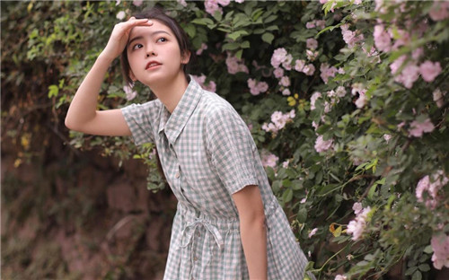 石榴芒果榴莲芭乐向日葵丝瓜:秋葵向日葵草莓丝瓜小猪榴莲免费看