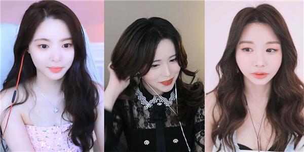 新版猫咪猫咪必火官网免费版-爱看的内容天天都有的软件