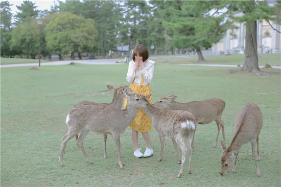 果冻传媒MV国产推荐视频下载开放免费专区，网友：精彩好片任你看！