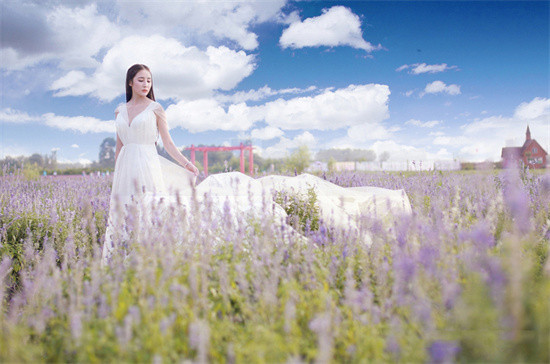 仙踪林WELCOME ON LINE WORD：视频资源汇聚广泛任你随意观看