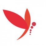 崩坏3天空之境之劫技能怎么样