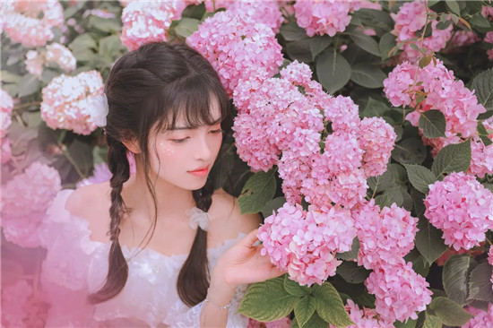 丝瓜草莓向日葵芭比小猪安卓：播放上没有限制的APP