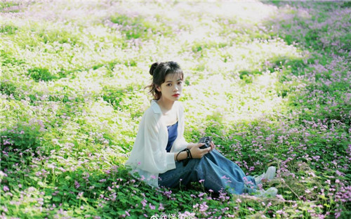 草莓丝瓜秋葵向日葵安卓截图2