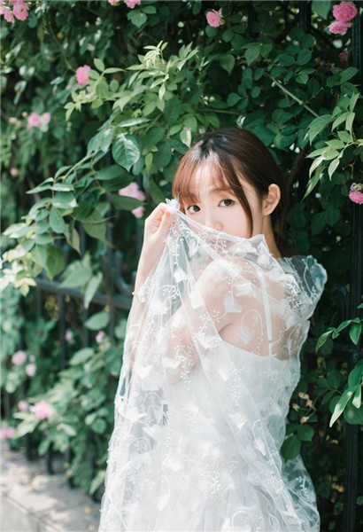 丝瓜秋葵榴莲草莓向日葵扫码截图2