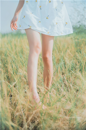 菠萝菠萝蜜高清观看5截图4